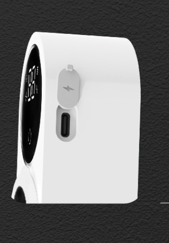 Intelligent Home Automatic Induction Double Person Toothbrush